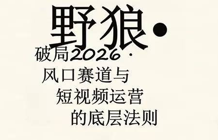 野狼团队·多平台实操运营课(更新4月) - 付费阅读