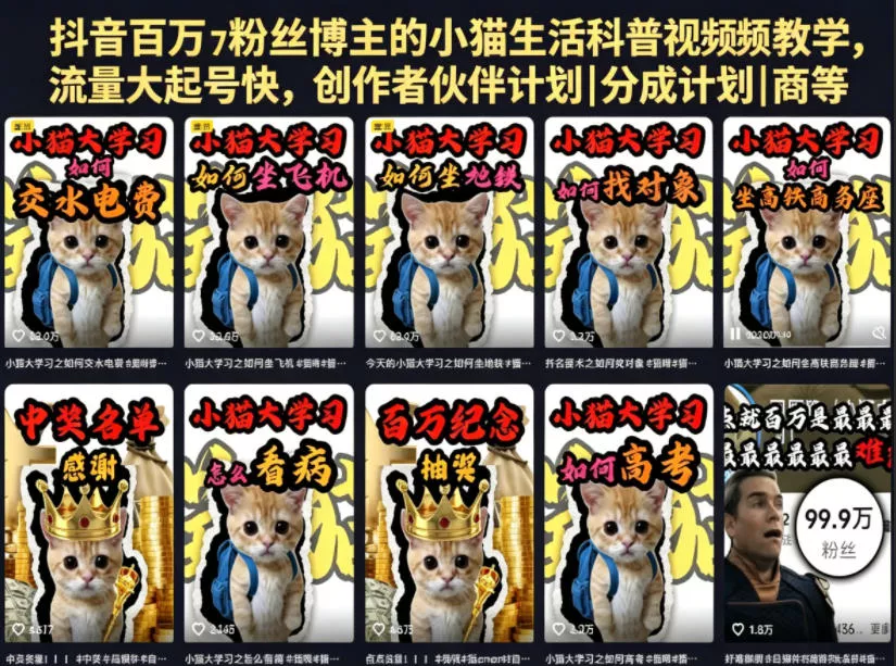 抖音百万粉丝博主的小猫生活科普视频教学，流量大起号快，创作者伙伴计划|分成计划|商单|收徒等 - 付费阅读