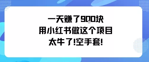 一天挣了9张用小红书做这个项目太牛了，空手套 - 付费阅读