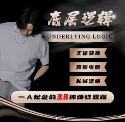一个人起盘的底层逻辑，私域流量-直播电商-实体获客，一人起盘的36种賺钱思路 - 付费阅读