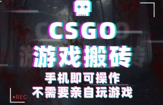 CSGO游戏挂G捡漏，单日扫货5张+，年底小高峰上车可吃肉，手机即可操作，兼职副业创业网创【揭秘】 - 付费阅读