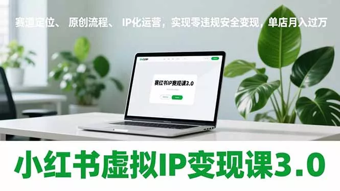 小红书虚拟IP变现课3.0，赛道定位、原创流程、IP化运营，实现零违规安全变现，单店月入过万 - 付费阅读