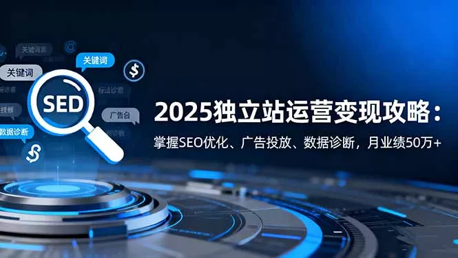 2025独立站运营变现攻略：掌握SEO优化、广告投放、数据诊断，月业绩50万+ - 付费阅读