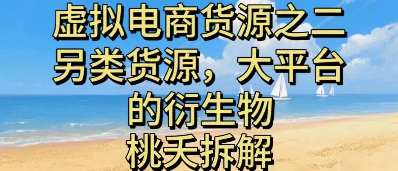 虚拟电商之二—另类的货源，大平台的衍生物 - 付费阅读