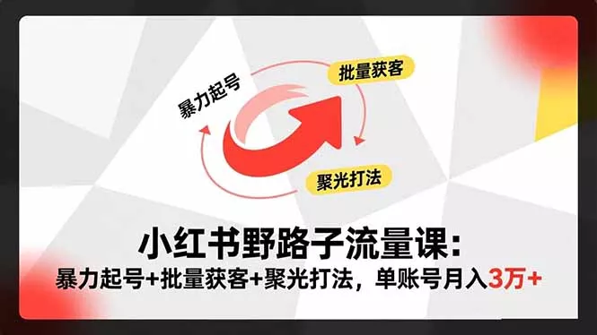 小红书野路子流量课：暴力起号+批量获客+聚光打法，单账号月入3万+ - 付费阅读