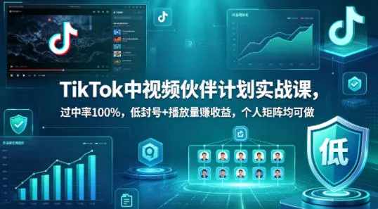 TikTok中视频伙伴计划实战课，过中率100%，低封号+播放量賺收益，个人矩阵均可做 - 付费阅读