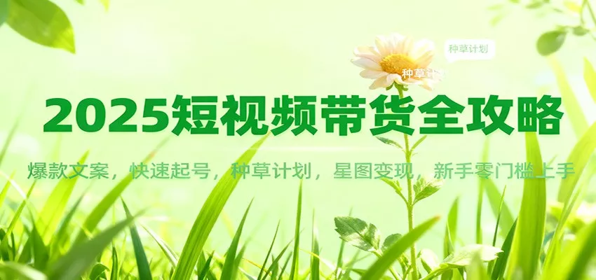 2025短视频带货全攻略：爆款文案，快速起号，种草计划，星图变现，新手零门槛上手 - 付费阅读