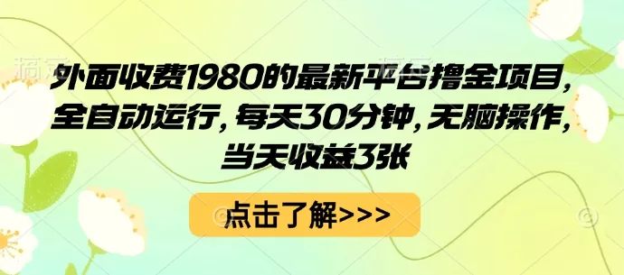 外面收费1980的最新平台撸金项目，全自动运行，每天30分钟，无脑操作，当天收益3张【揭秘】 - 付费阅读