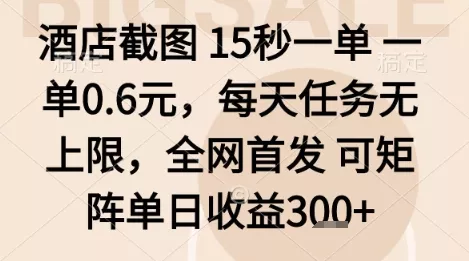 酒店截图项目，15秒一单，一单0.6米，每天任务无上限，全网首发可矩阵单日收益3张+【揭秘】 - 付费阅读
