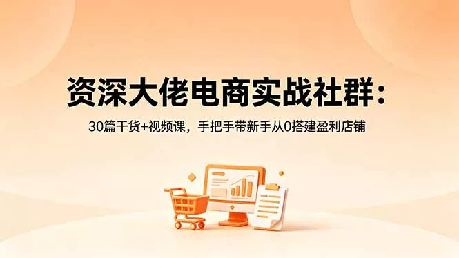 资深大佬电商实战社群：30篇干货+视频课，手把手带新手从0搭建盈利店铺 - 付费阅读