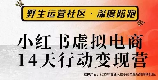 小红书虚拟电商14天变现训练营3.0，虚拟产品，2025年普通人在小红书最后的搞钱机会 - 付费阅读