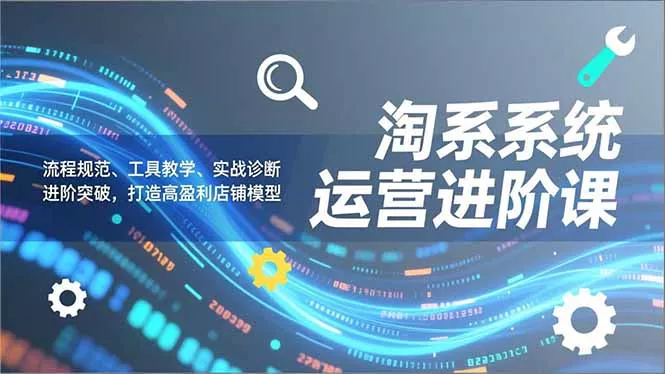 淘系系统运营进阶课2.0，流程规范、工具教学、实战诊断，进阶突破，打造高盈利店铺模型 - 付费阅读