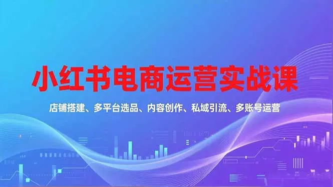 小红书电商运营实战课，店铺搭建、多平台选品、内容创作、私域引流、多账号运营等玩法 - 付费阅读