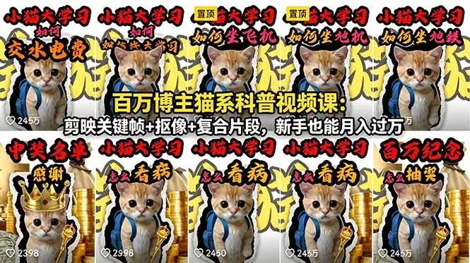 百万博主猫系科普视频课：剪映关键帧+抠像+复合片段，新手也能月入过万 - 付费阅读