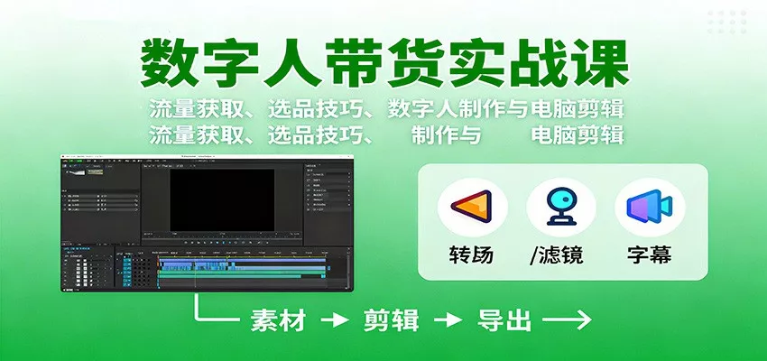 数字人变现实战课：流量获取、选品技巧、数字人制作与电脑剪辑 - 付费阅读