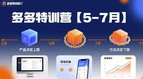 多多特训营，产品决定上限，方法决定下限，各种玩法技巧落地实操(更新) - 付费阅读