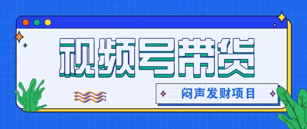 微信视频号带货项目，轻松日赚赚2000+，这个挣钱入口很多伙伴都在闷声发财 - 付费阅读