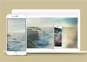 图片视差APP应用网站模板下载 - 付费阅读