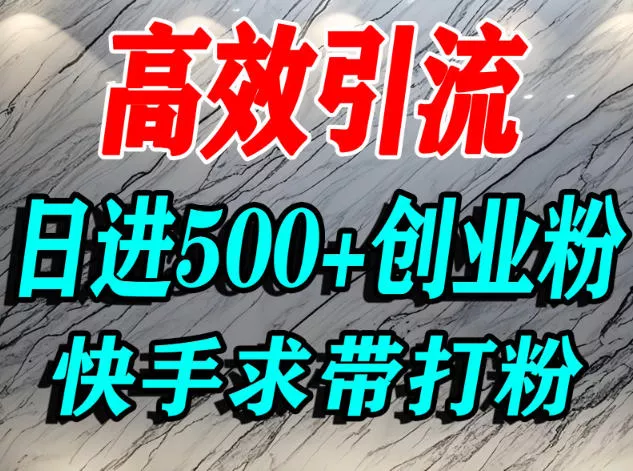 怎么打创业粉？快手求带视角精准引流创业粉，宝妈、学生群体日进500+精准流量 - 付费阅读