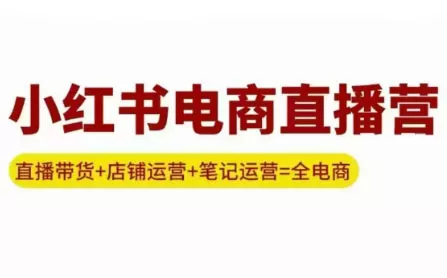 申铭老师·小红书电商直播营(更新) - 付费阅读