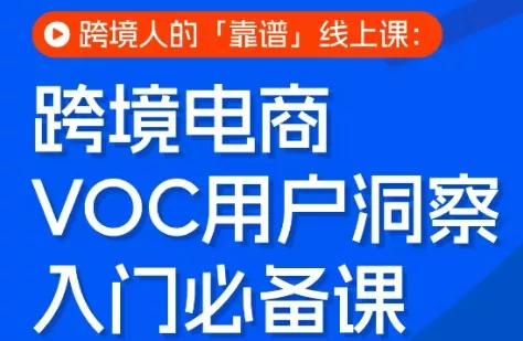 跨境电商VOC用户洞察入门必备课 - 付费阅读
