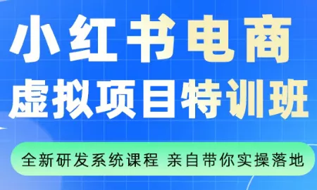 陆明明·小红书虚拟项目特训班(更新9月) - 付费阅读