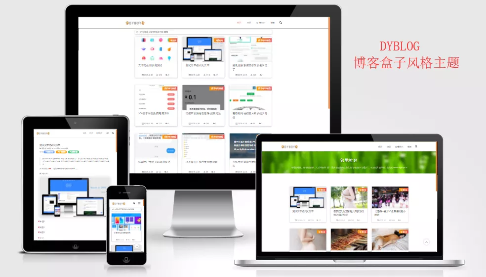 Emlog主题-DYBLOG 个人博客主题模版 - 付费阅读