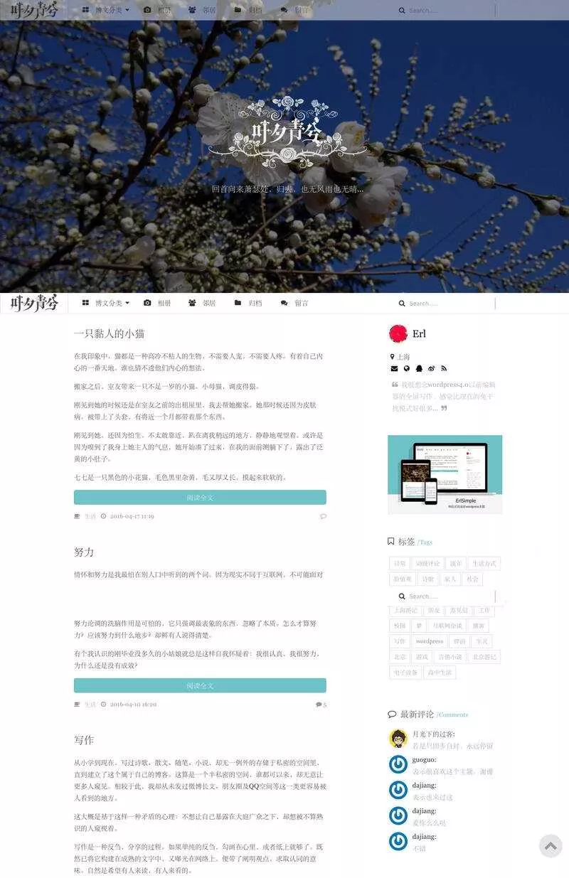 wordpress极简优秀的博客主题–ErlSimpleV1.5主题 - 付费阅读