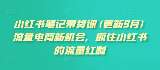 小红书笔记带货课(更新25年12月)流量电商新机会，抓住小红书的流量红利 - 付费阅读