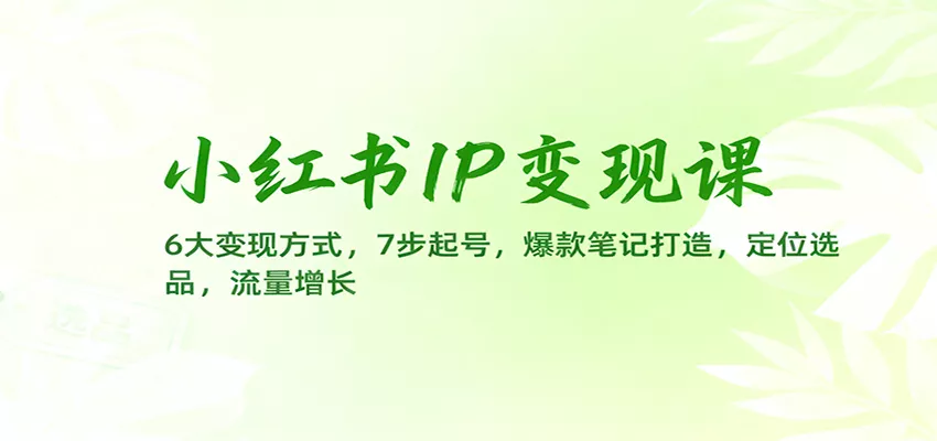 小红书IP变现课：6大变现方式，7步起号，爆款笔记打造，定位选品，流量增长 - 付费阅读