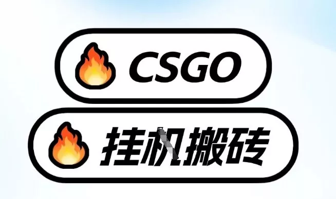 真全网独家CSGO挂G，最新玩法,单日捡漏1K+，不用电脑，不用打游戏【揭秘】 - 付费阅读
