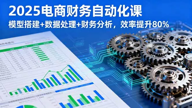2025电商财务自动化课，模型搭建+数据处理+财务分析，效率提升80% - 付费阅读
