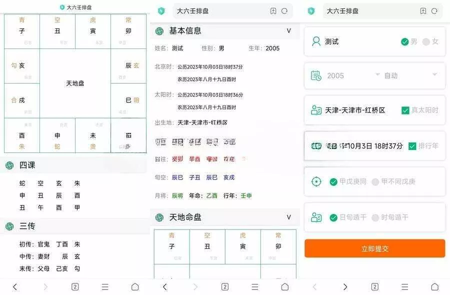开源无马可二开八字排盘源码 - 付费阅读