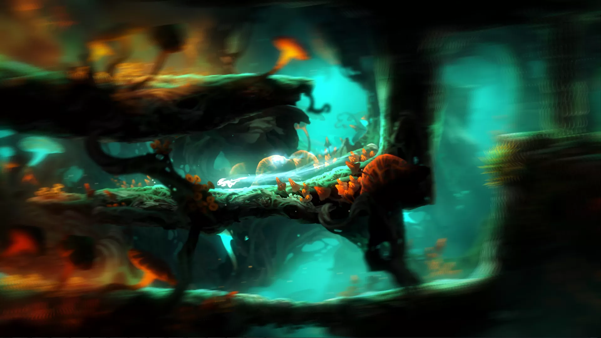 《奥日与黑暗森林 Ori and the Blind Forest Definitive Edition》Switch中文版NSP下载 – 含1.0.2补丁