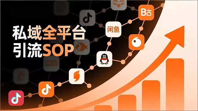 私域全平台引流SOP，抖音/快手/小红书/微信/QQ/B站/闲鱼等，技术合集，高效转化公域流量 - 付费阅读