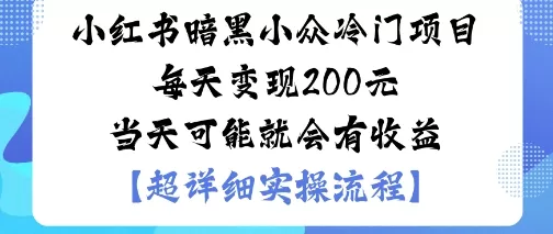 小红书暗黑小众冷门项目每天变现2张当天可能就会有收益 - 付费阅读
