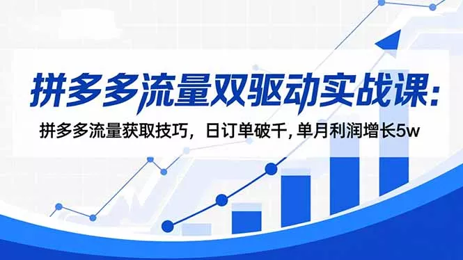 拼多多流量双驱动实战课：拼多多流量获取技巧，日订单破千,单月利润增长5w - 付费阅读