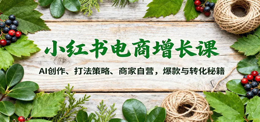 小红书电商增长课：AI创作、打法策略、商家自营，爆款与转化秘籍 - 付费阅读