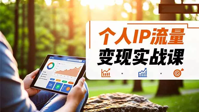 个人IP流量变现实战课，涵盖多平台引流、打造个人IP并实现稳定流量变现 - 付费阅读