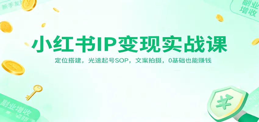 小红书IP变现实战课：定位搭建，光速起号SOP，文案拍摄，0基础也能赚钱 - 付费阅读