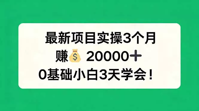 最新项目实操3个月，赚钱20000+，0基础小白3天学会！ - 付费阅读
