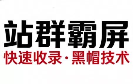 SEO野路子实战全集：快速收录、站群霸屏、黑帽技术 - 付费阅读