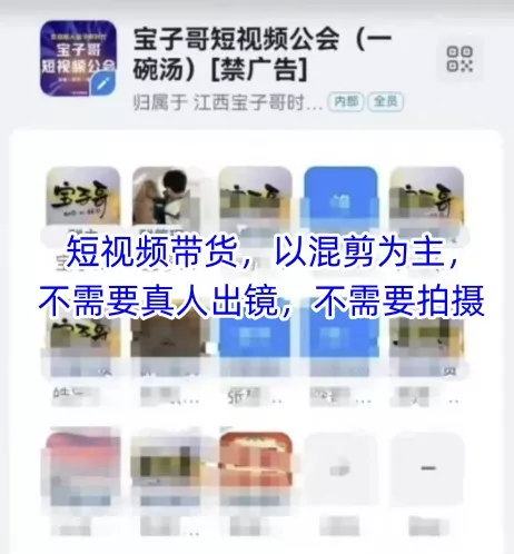 宝子哥头部团队短视频带货，以混剪为主，不需要真人出镜，不需要拍摄【更新12月】 - 付费阅读