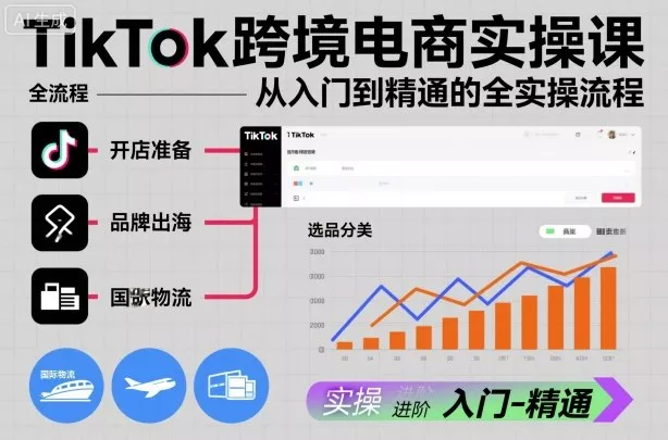 TikTok跨境电商实操课，从入门到精通的全实操流程 - 付费阅读